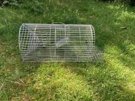 Photo of free 2 skateboards, wire rat-trap cage, children’s stamps, zafira (New Marston OX3) #4