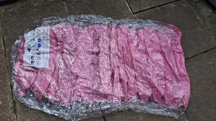 Photo of free 2 x pink inflatable lounger /floats (Loughborough) #2