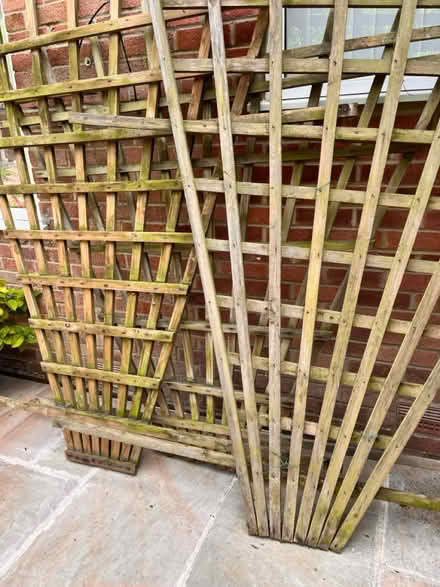 Photo of free Wooden Garden Trellis, h200 x w150c (BH17 9AF) #1
