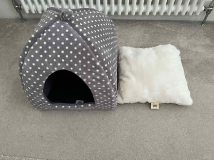 Photo of free Cat igloo (Hove BN3) #3