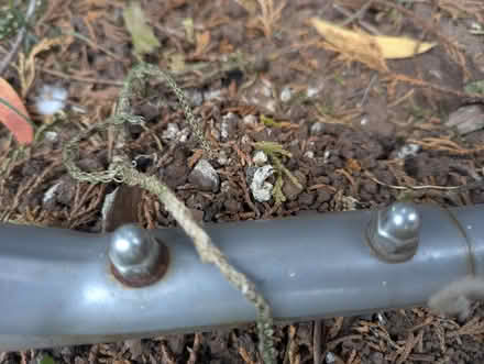 Photo of free Child's football goal (Chellaston DE73) #2