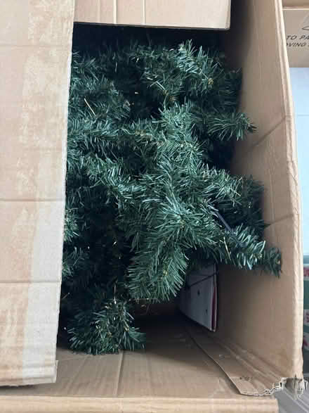 Photo of free Artificial Christmas tree (Williamson Park LA1) #1