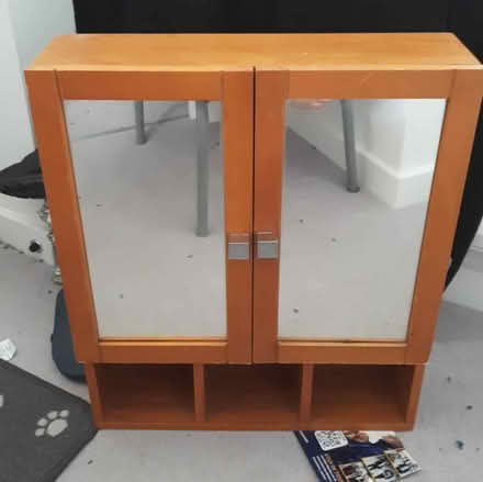 Photo of free Bathroom cabinet (Willowbrook Park OX11) #1