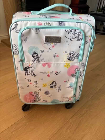 Photo of free Disney princess case (Euxton PR7) #1
