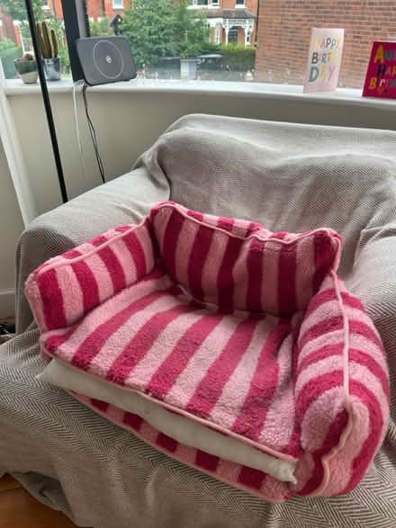 Photo of free Cat/Small Dog Bed (Muswell Hill - N10) #1