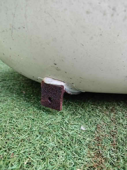 Photo of free Roll top bath (Southbourne BH5) #3