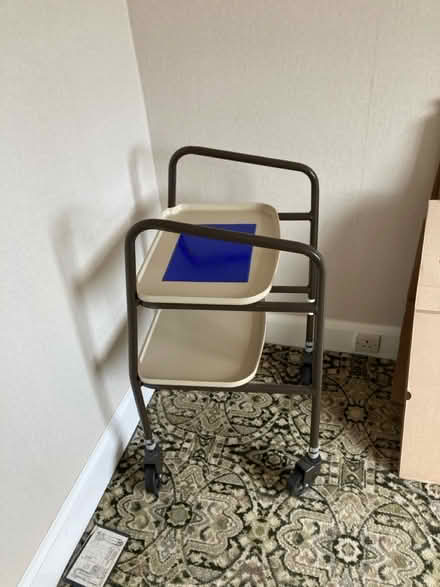 Photo of free Hospital walkers (Hale Altrincham wa15 8xb) #3