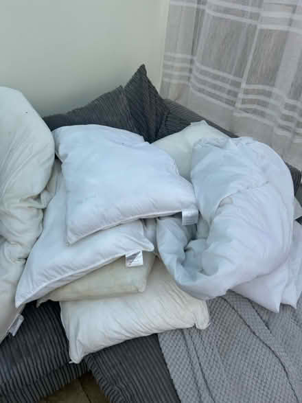 Photo of free Well used pillows and duvet (South Tonbridge) #1