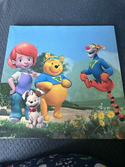Photo of free Winnie the Pooh canvas (Derby DE24) #1