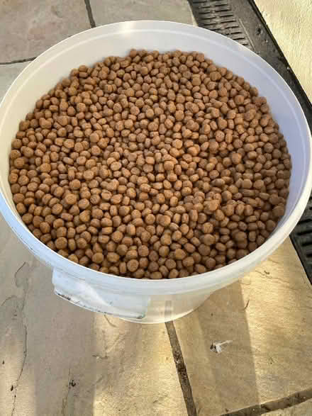 Photo of free Tub of working dog food (New Malden KT3) #1
