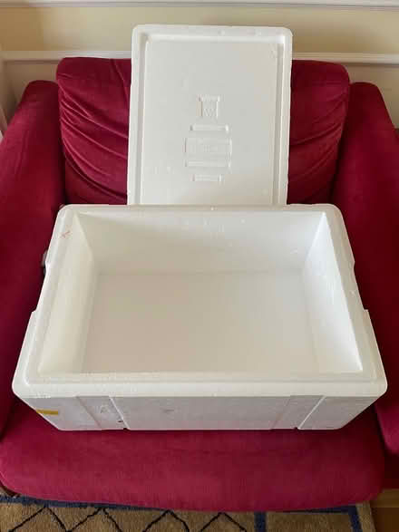Photo of free Large polystyrene insulated box great for keep BBQ food cold (Sanderstead CR2) #2