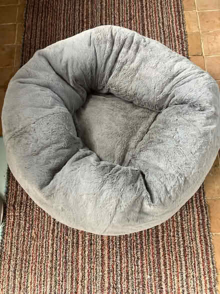Photo of free Cat/small dog bed (Gloucester GL1) #1