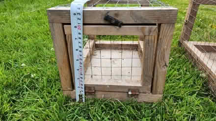 Photo of free Dove Homing Boxes (Quarndon DE22) #2