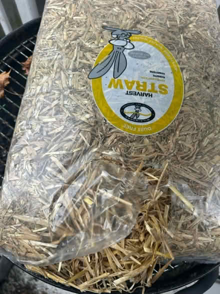 Photo of free Almost full bag of straw / hay (Stevenage SG1) #1