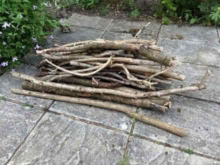 Photo of free Wood for fire,fire pit,wood BBQ etc (Ashtead KT21 near Epsom) #1