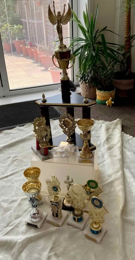 Photo of free Trophies (Rush Green RM7) #1