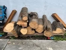Photo of Log - recently felled (Harrogate HG1) #1