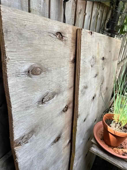 Photo of free Two sheets of marine ply (Central Worcester WR1) #1