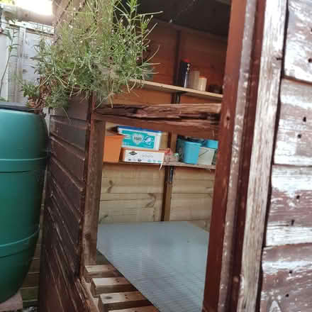 Photo of free old shed (Northway GL20) #1
