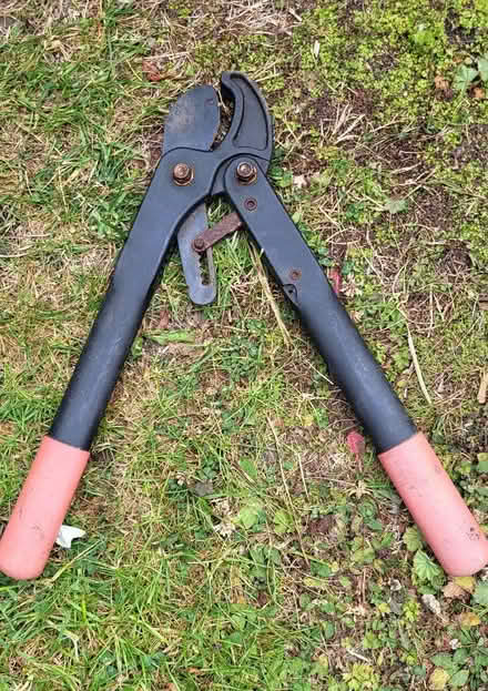 Photo of free Small garden loppers (Osney OX2) #1