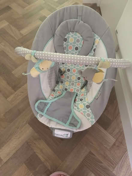 Photo of free Next to me crib & baby bouncer (M9 4PX) #2