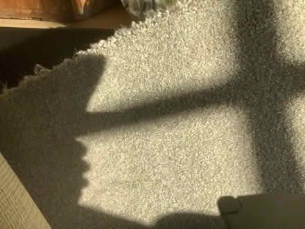 Photo of free New carpet (Tilehurst Road RG1) #1