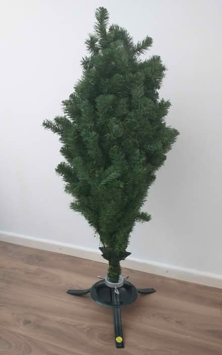 Photo of free Christmas tree (Cambridge CB3) #1