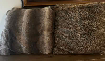 Photo of free Decorative pillows (Potomac MD) #2