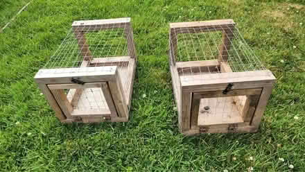 Photo of free Dove Homing Boxes (Quarndon DE22) #4