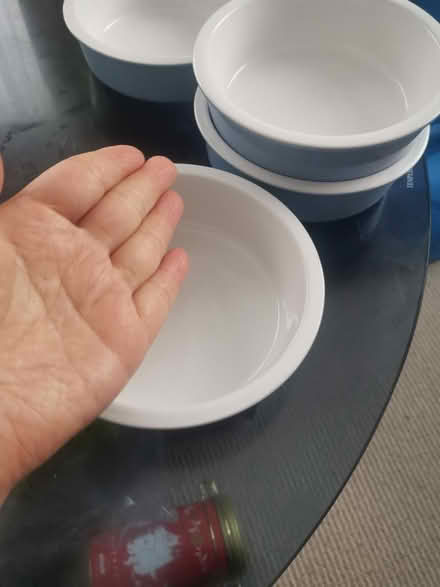 Photo of free Bowls (Barnet EN5) #3