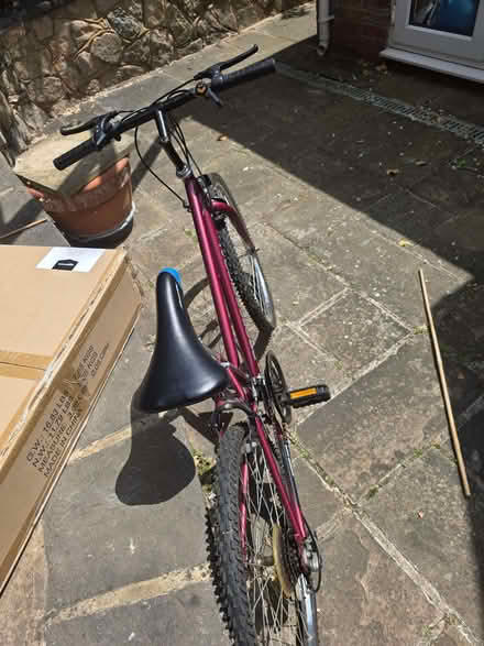 Photo of free Kids bike (Chingford Mount E4) #3