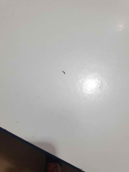 Photo of free Large Bench for Workshop / garage (Moorlands LA1) #4