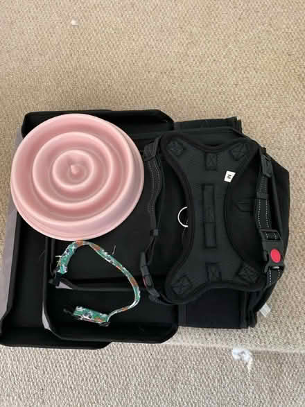 Photo of free Dog Accessories (Chessington KT9) #2