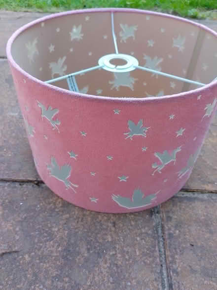 Photo of free Unicorn Lampshade (Long Eaton NG10) #1