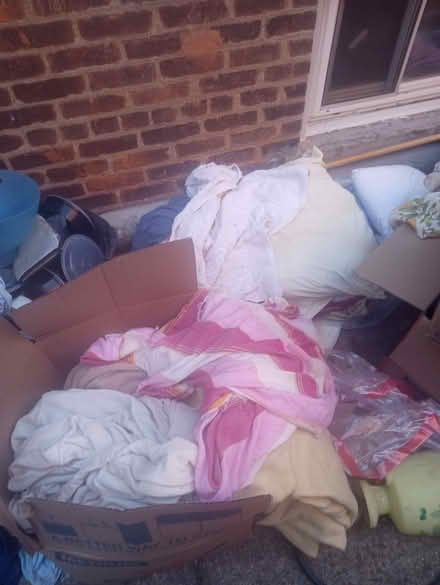 Photo of free Updated Curb Alert (Kensington, Brooklyn) #4