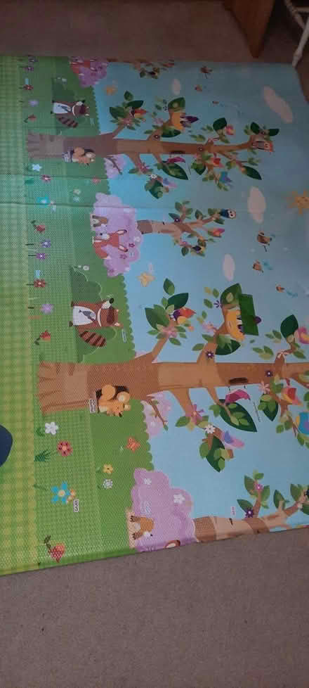 Photo of free Reversible play mat (Groton MA) #2