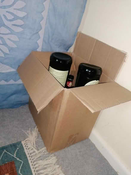 Photo of free 9 x (Ginger beer) bottles screw top (Bradford on Avon BA15) #2