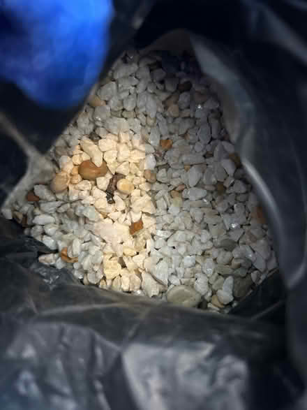 Photo of free Fish tank gravel (Hitchin) #1