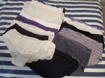 Photo of free Ladies knickers / pants... size 12 (Malvern Link WR14) #1