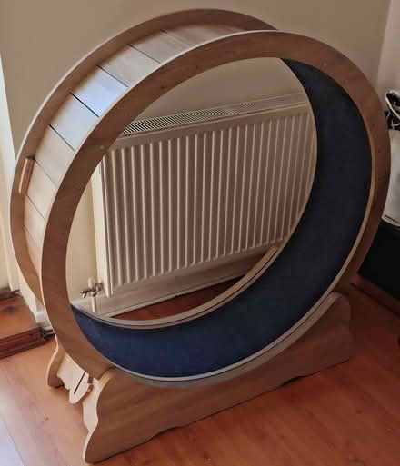 Photo of free Exercise wheel for cat / small dog (SW6) #1