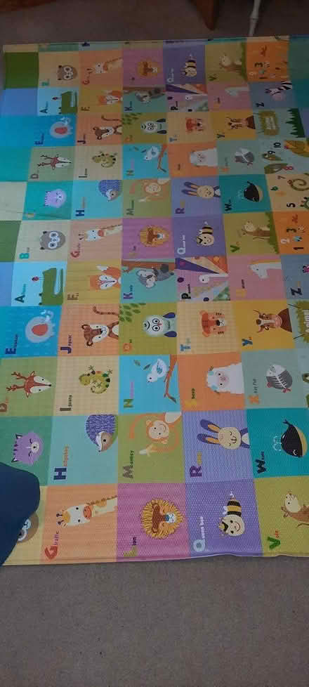 Photo of free Reversible play mat (Groton MA) #1
