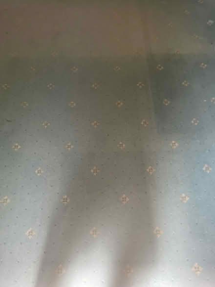 Photo of free Old carpet (Centurion Rise, Hastings TN34) #1