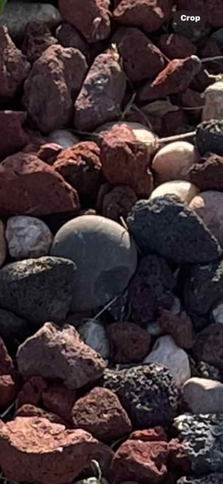 Photo of free Lava Rocks (Ennis, Texas) #1