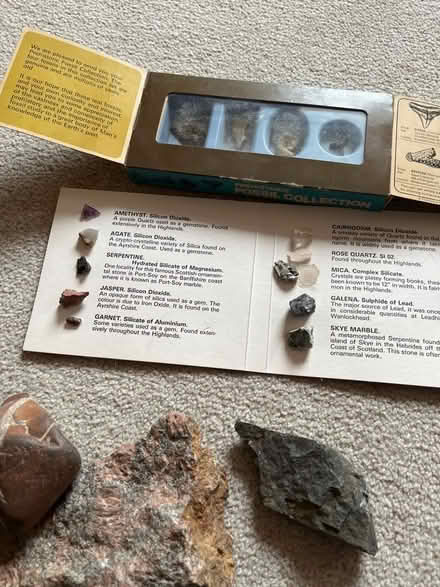 Photo of free Rock and fossil collection (Crooklands LA7) #3