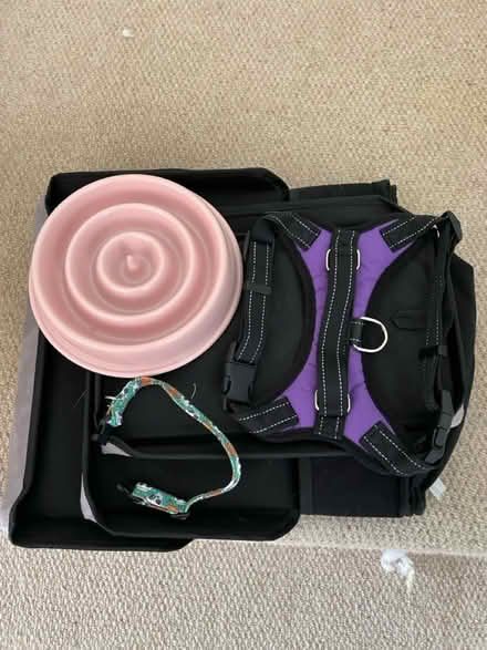 Photo of free Dog Accessories (Chessington KT9) #1