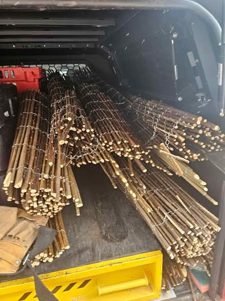 Photo of free Willow screening off cuts (West Wickham BR4) #2