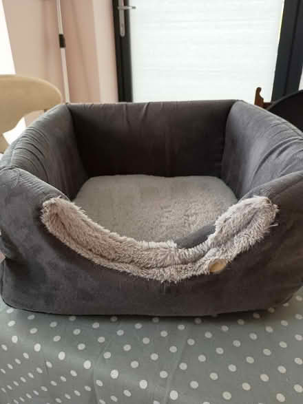 Photo of free Small two-way cat bed (East Barnwell) #1
