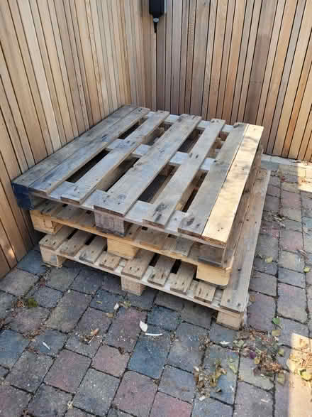 Photo of free pallets (GL50) #1