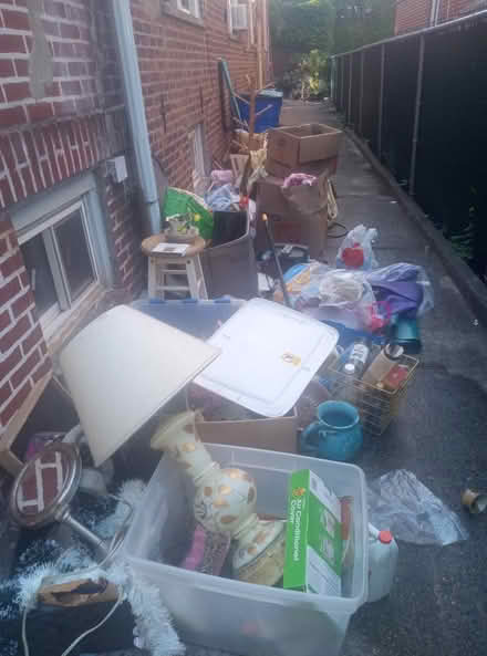 Photo of free Updated Curb Alert (Kensington, Brooklyn) #1