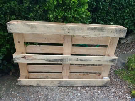Photo of free clean new pallet (Carlton Hill BN2) #1